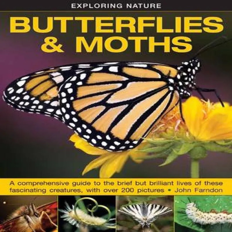 Anness Publishing Exploring Nature: Butterflies & Moths