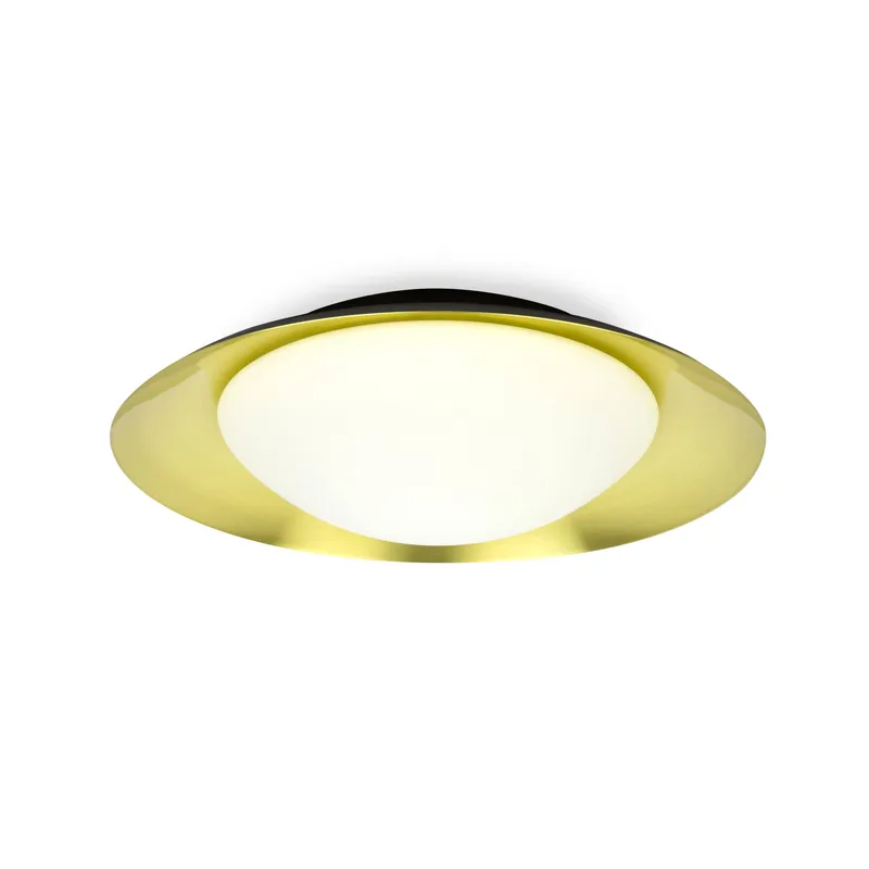 Netlighting Side Led Black Gold Ceiling Lamp 20W Black