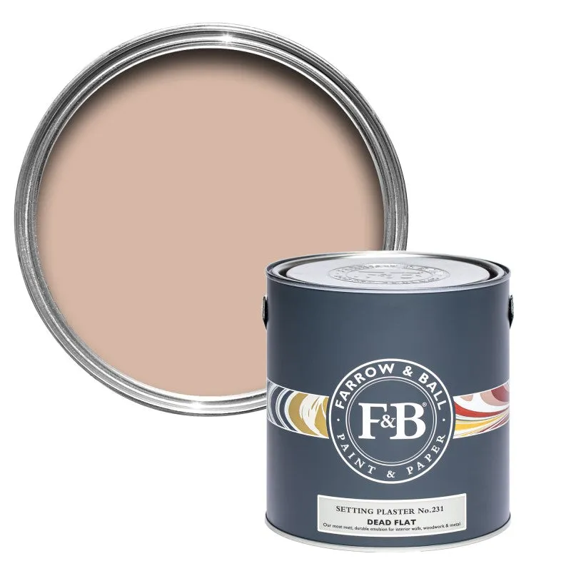 FarrowBall Farrow & Ball - Setting Plaster No.231
