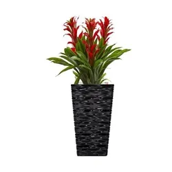 Fixtures Glaze Wave Medium Planter {Black}