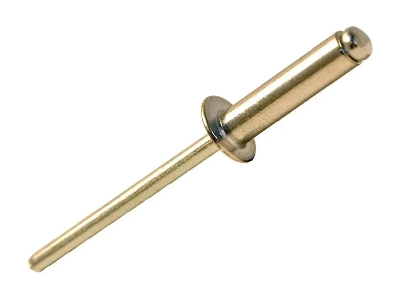 Forgefix Aluminium Rivets 4.8 X 16Mm Bag 100 in Silver Silver