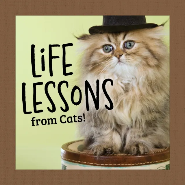 Fox Chapel Publishing Life Lessons From Cats
