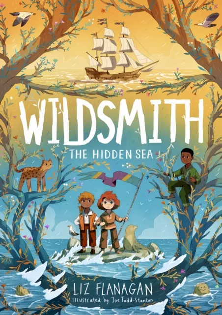 Liz Flanagan Hidden Sea Paperback Book Multicolor