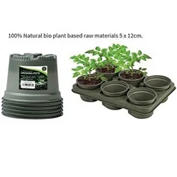 Garland Biodegradable Growing Pots Pack