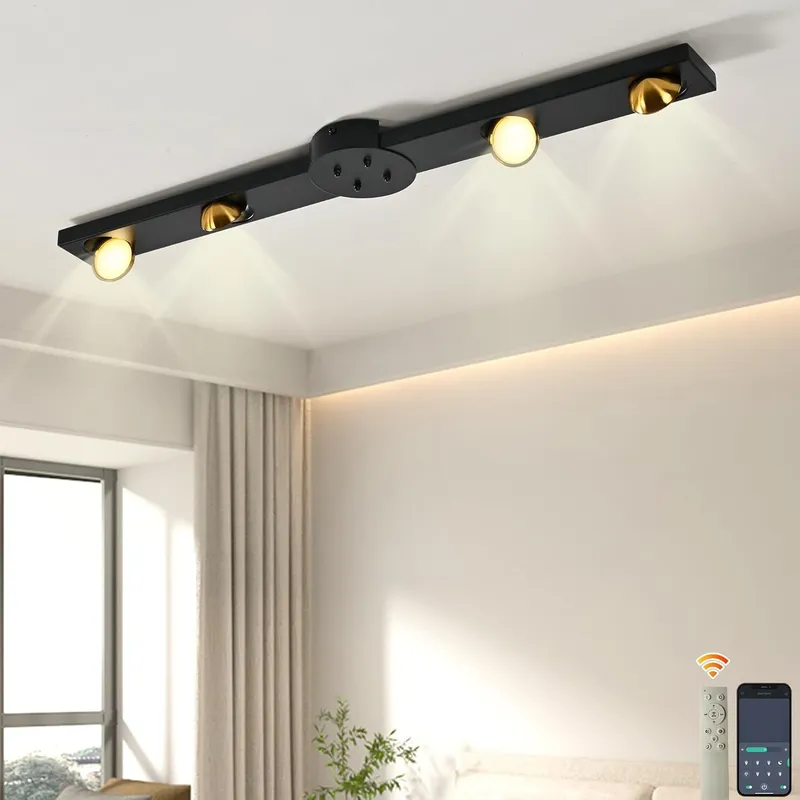 Garwarm LED Ceiling Light 24W Dimmable Ceiling Lamp, 4-Rotatable Lights in Black Black