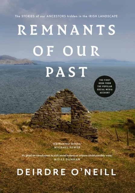 Gill Remnants Of Our Past : The Stories Of Our Ancestors Hidden In The Irish Landscape
