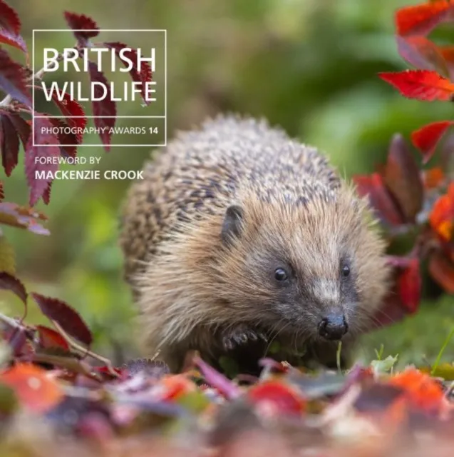 Graffeg Limited British Wildlife Photography Awards 14