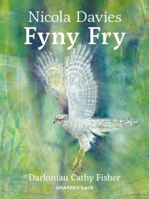 Graffeg Limited Fyny Fry