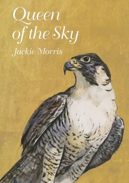 Jackie Morris Queen of the Sky