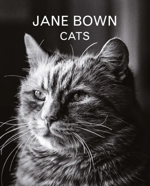 Guardian Faber Publishing Jane Bown: Cats