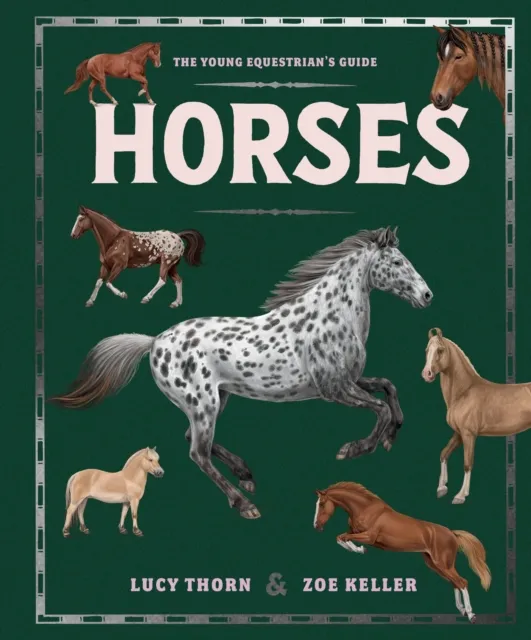 Hachette Children's Group Horses
