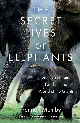 Hannah Mumby The Secret Lives of Elephants