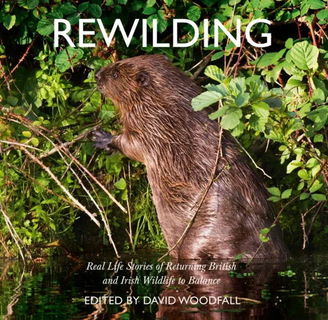 HarperCollins Publishers Rewilding : Real Life Stories Of Returning British And Irish Wildlife To Balance