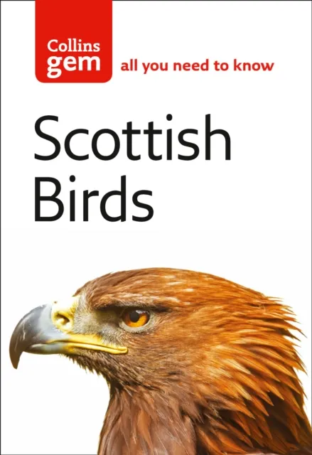 Valerie Thom Scottish Birds