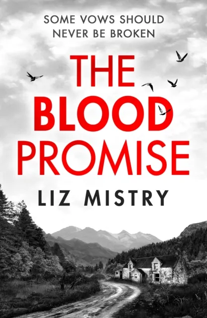 Liz Mistry Blood Promise Paperback Book Multicolor