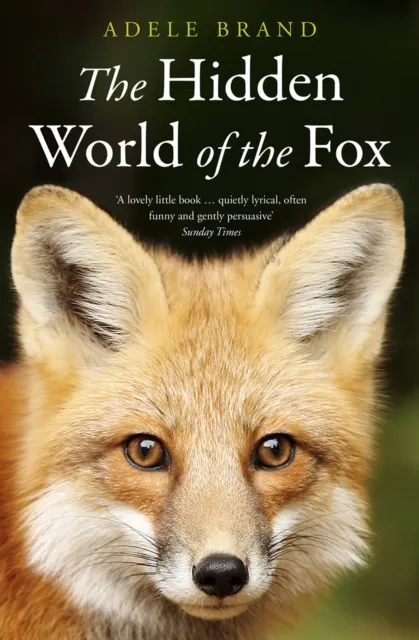 HarperCollins Publishers The Hidden World Of The Fox