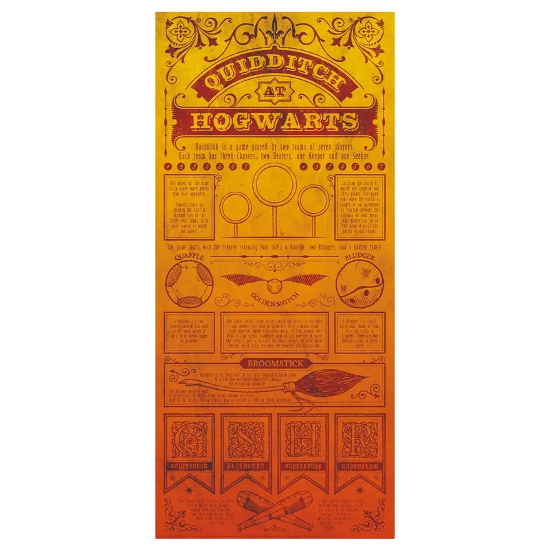 Harry Potter Limited Edition Quidditch Art Print in Orange Orange