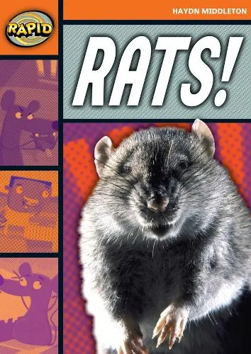 Haydn Middleton Rapid Reading: Rats! (Stage 4, Level 4B)