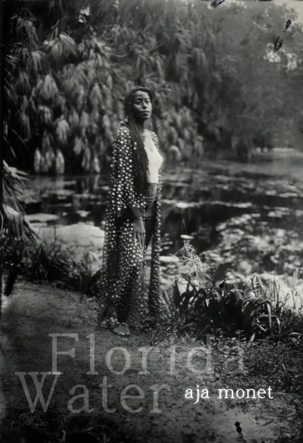 Haymarket Books Florida Water : Poems