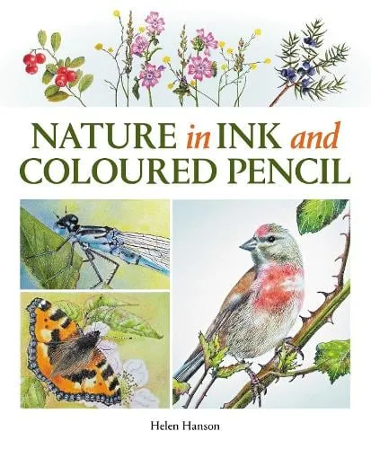 Helen Hanson Nature in Ink and Coloured Pencil