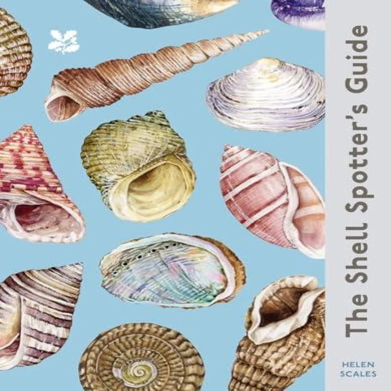 Helen Scales The Shell Spotter’s Guide