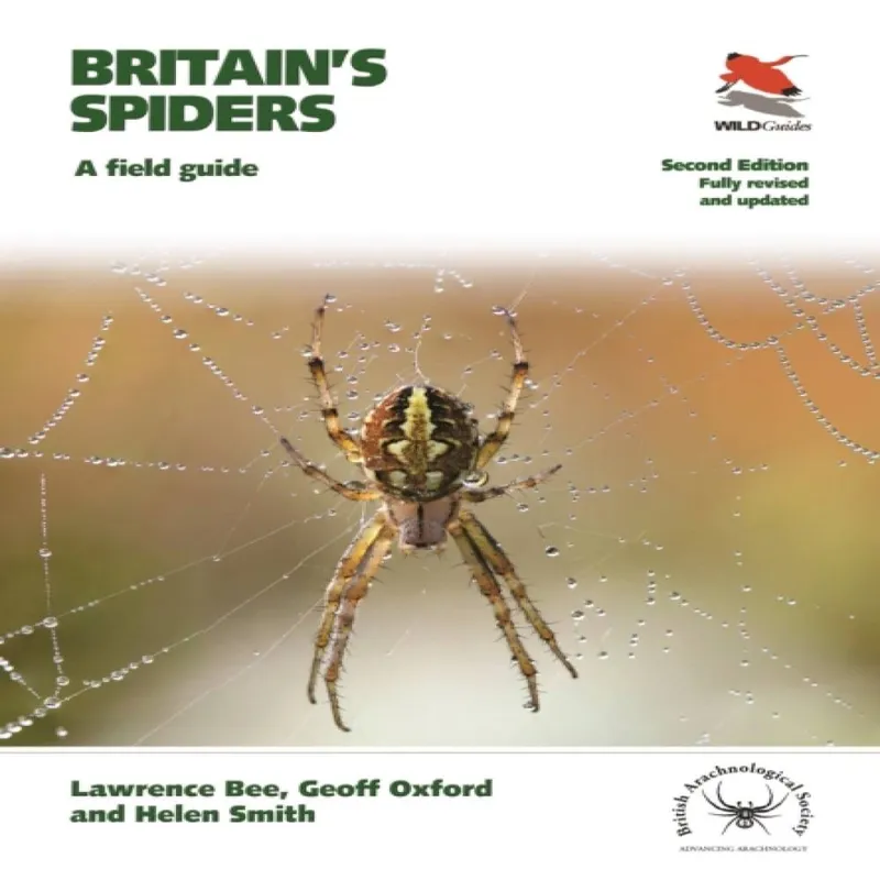 Helen Smith Britain's Spiders Paperback Book Multicolor