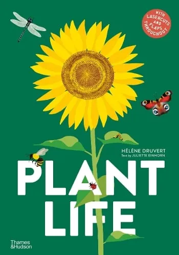 Hélène Druvert Plant Life