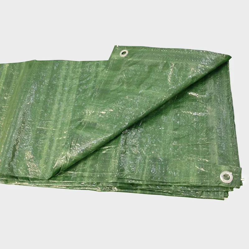 Hi-Gear 12 x 8 Groundsheet, Green One Size