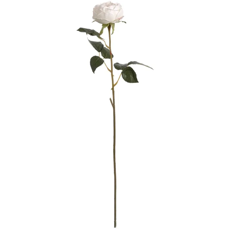 Hill Interiors Artificial Austin Rose in Off White - Off White