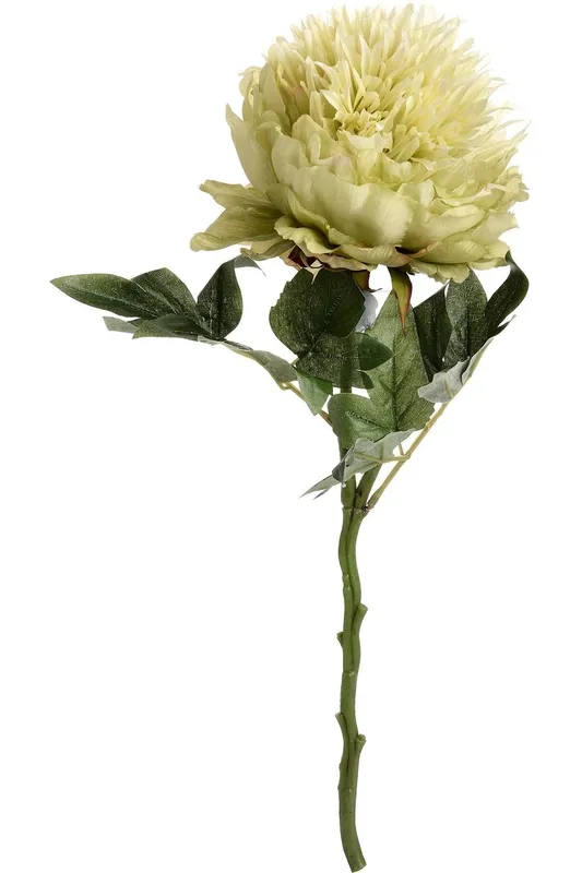 Hill Interiors Artificial Short Stem Peony in Green - Green