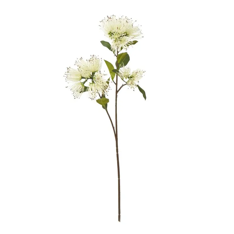 Hill Interiors Unisex Protea Nitida Stem Artificial Flower Spray in Cream Cream female