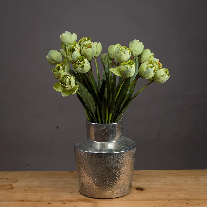Hill Green Tulip