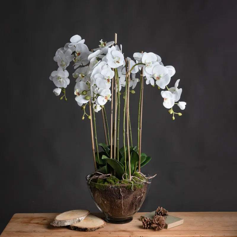 Hill Large White Orchid In Glass Pot