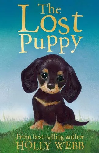 Holly Webb The Lost Puppy