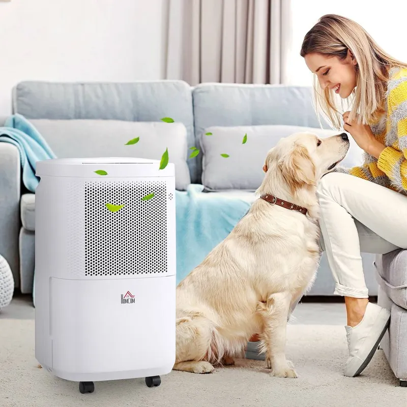 Homcom 10L per Day 2.2L Portable Dehumidifier with WiFi Smart App Control in White White