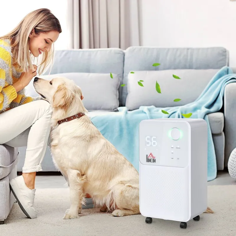 Homcom 12L per Day 2L Portable Quiet Dehumidifier for Home in White - White - Size: One Size