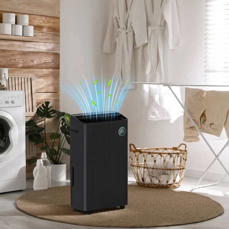 Homcom 16L/Day 5.5L Dehumidifier with Air Purifier, Uvc, Ioniser, Timer in Black Black