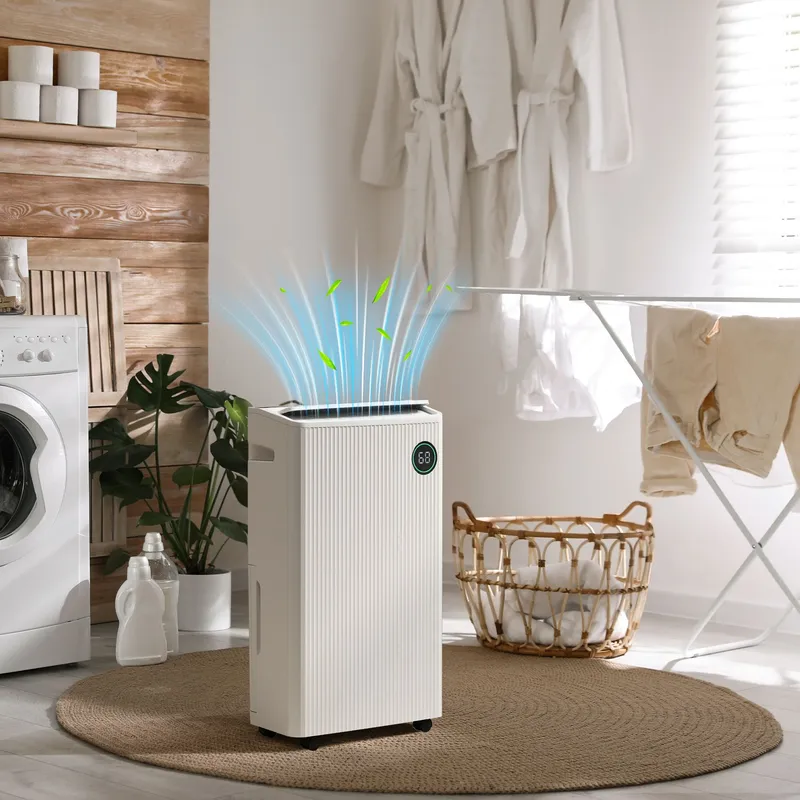 Homcom 16L/Day 5.5L Dehumidifier with Air Purifier, Uvc, Ioniser, Timer in White White