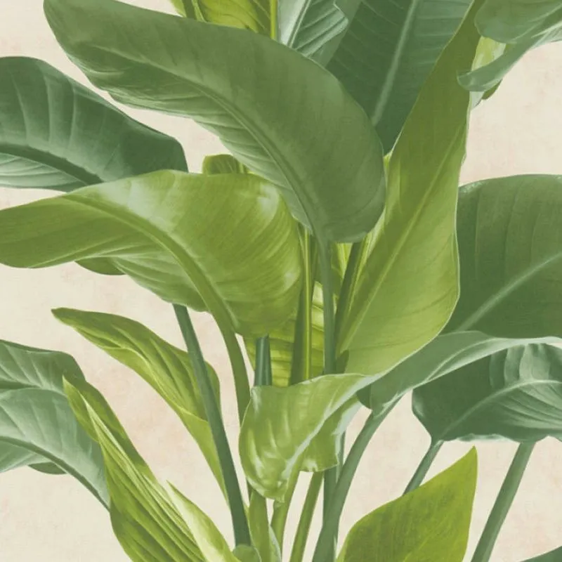 A.S. Creation Botanical Garden Plant Leaf Leaves Trail Vinyl Cream Green Wallpaper Cream