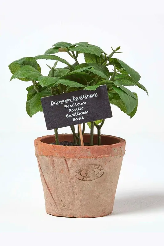 Homescapes Artificial Basil Plant in Decorative Pot in Terracotta Terracotta