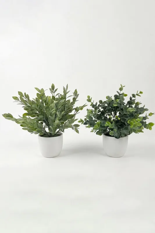 Homescapes Artificial Daphne Odora & Eucalyptus in White Pot in Green Green