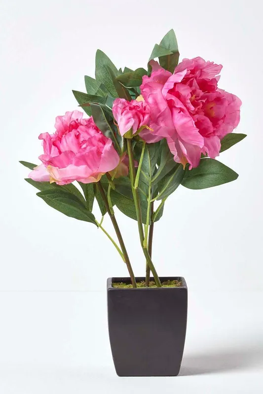 Homescapes Artificial Peonies in Decorative Pot, 48 cm Tall in Pink Pink