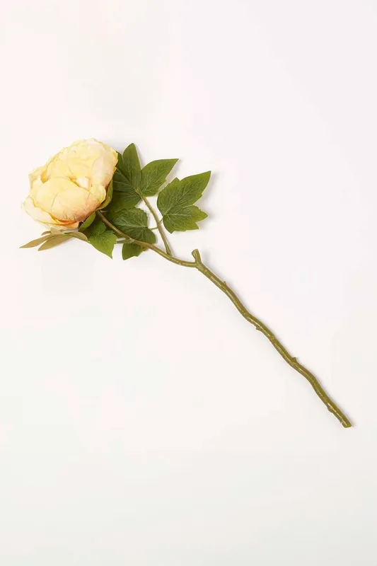 Homescapes Artificial Stem of Dried Peony Flowers in Yellow Yellow