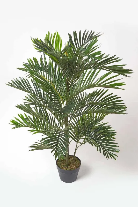 Homescapes Multi Stem Green Palm Tree in Pot, 120 cm Green