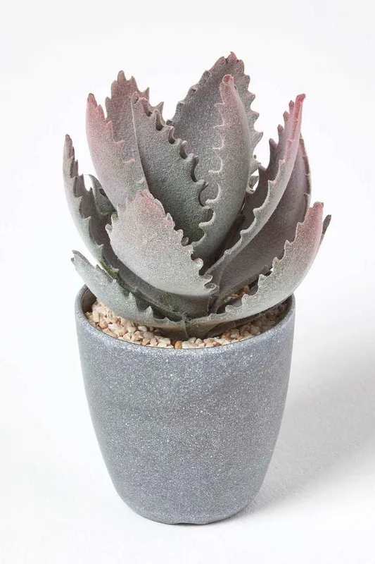 Homescapes Purple & Green Aloe Vera Artificial Succulent in Grey Pot Green