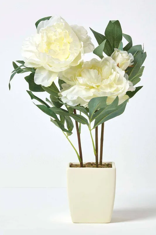 Homescapes Artificial Peonies in Decorative Pot, 48 cm Tall in Cream - Cream