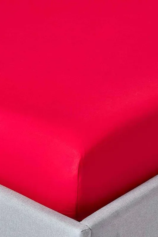 Homescapes - Red Egyptian Cotton Fitted Sheet 200 Thread Count, Single - Red