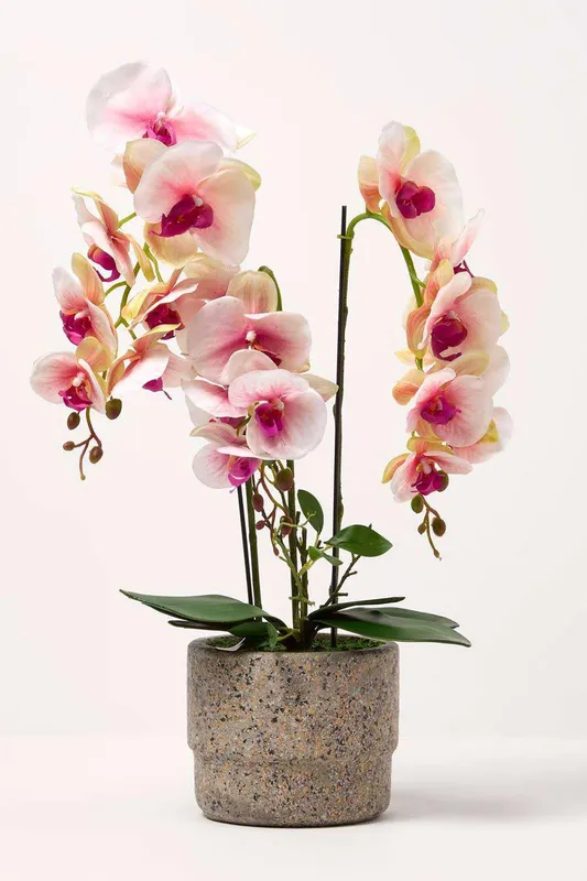 Homescapes Luxury Artificial Orchid in Pot, 3 Stems, 64 cm, Pink Pink