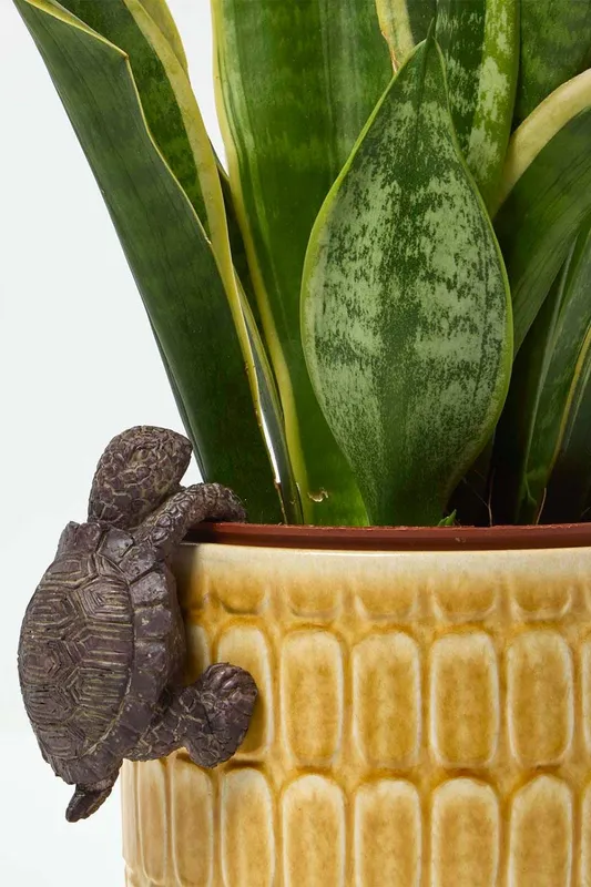 Homescapes Unisex Tortoise Pot Hanger Decoration in Grey Grey female