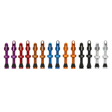 Hope Tubeless Valves - Pair - Blue / 40mm Valve